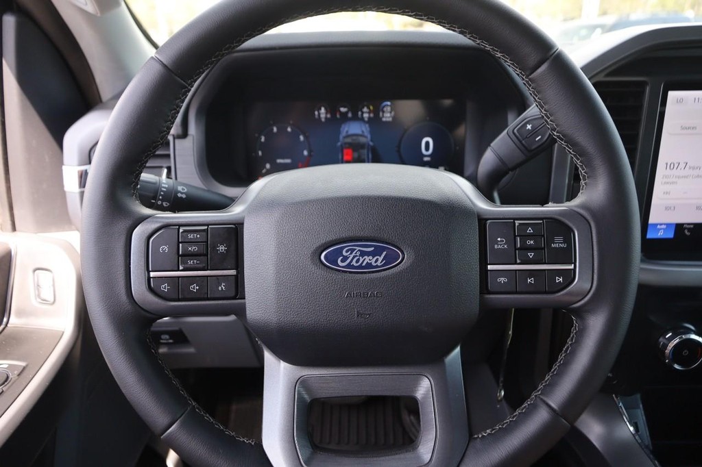 Ford F-150 Vehicle Image 10