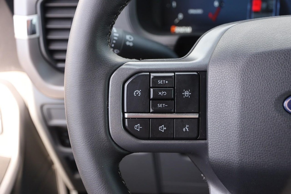 Ford F-150 Vehicle Image 11