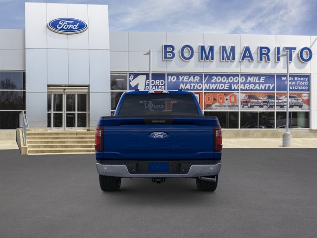 Ford F-150 Vehicle Image 05