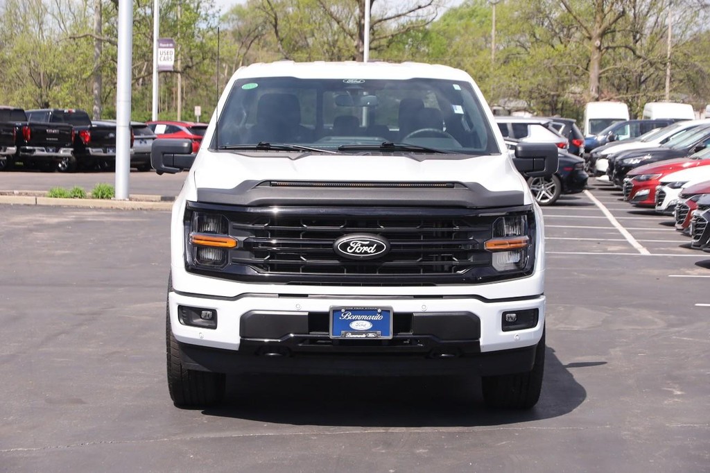 Ford F-150 Vehicle Image 04