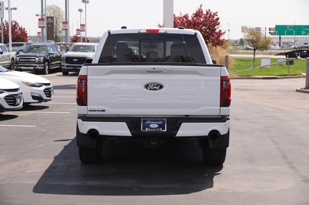 Ford F-150 Vehicle Image 06