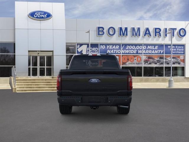 Ford F-150 Vehicle Image 05
