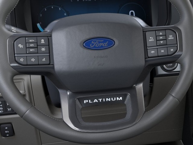 Ford F-150 Vehicle Image 12