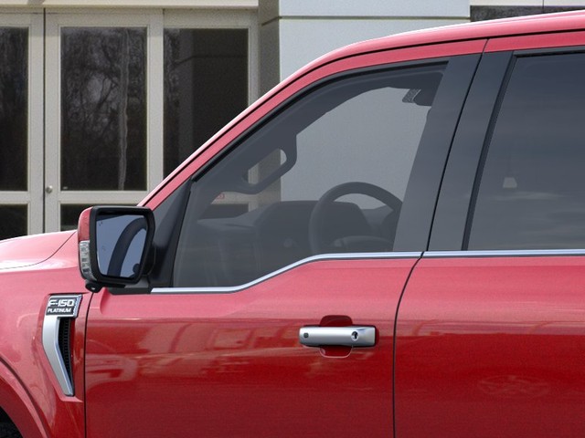 Ford F-150 Vehicle Image 20