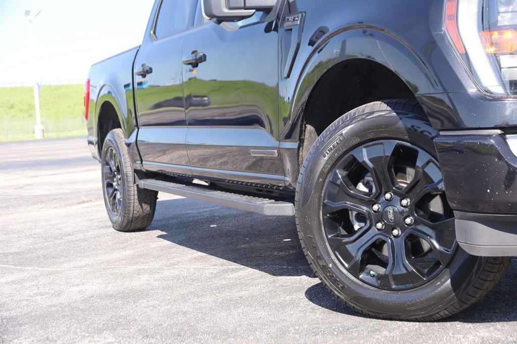 Ford F-150 Vehicle Image 03