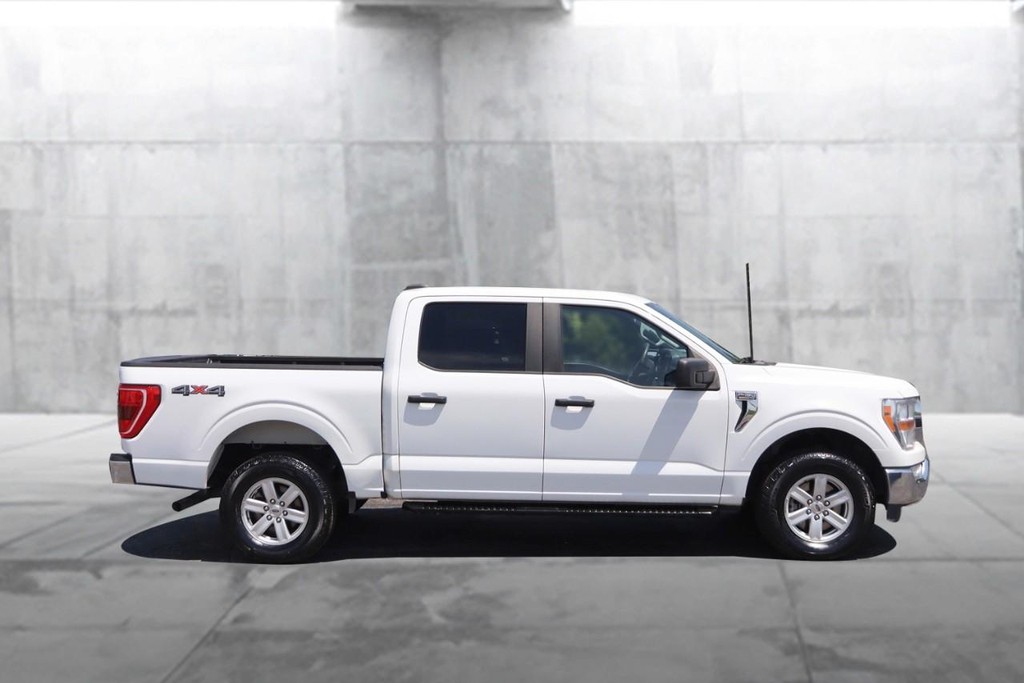 Ford F-150 Vehicle Image 05
