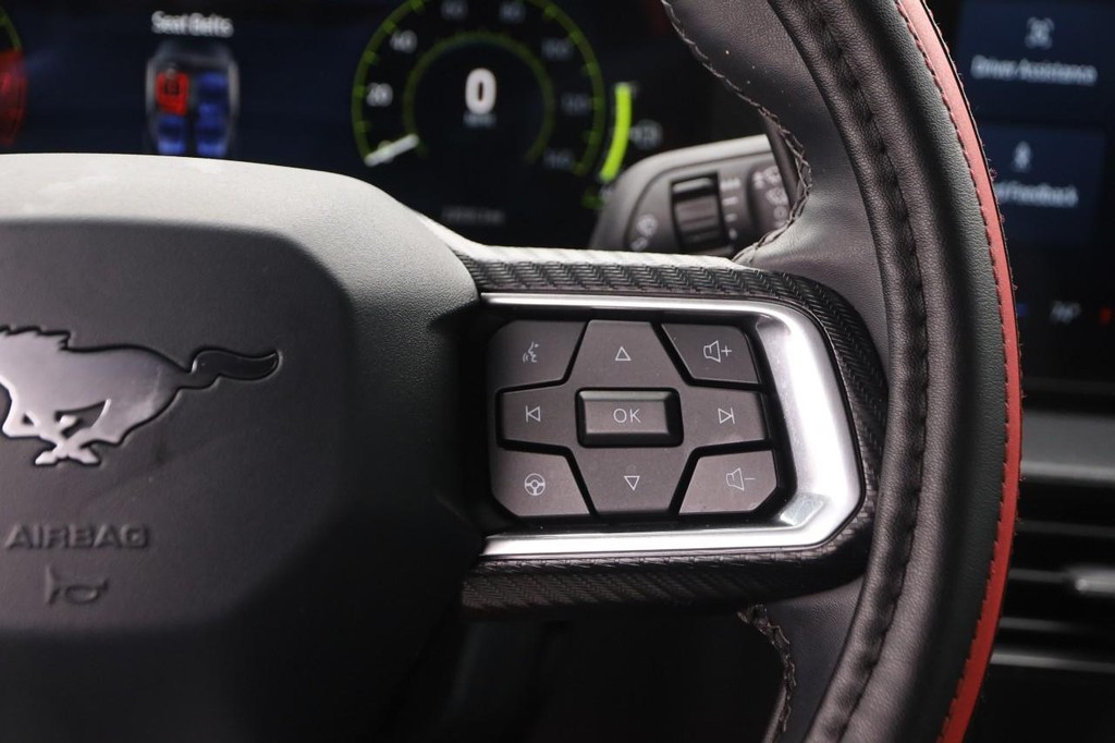 Ford Mustang Vehicle Image 12