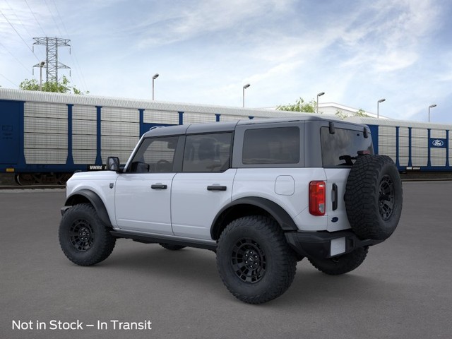 Ford Bronco Vehicle Image 04
