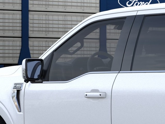 Ford F-150 Vehicle Image 20