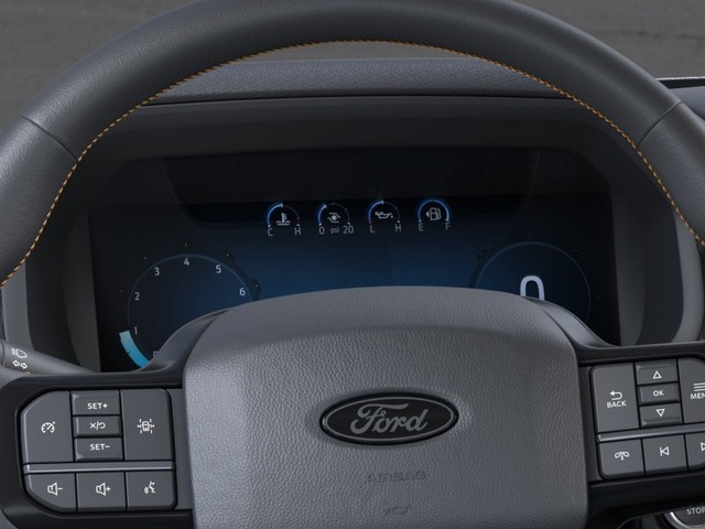 Ford F-150 Vehicle Image 13