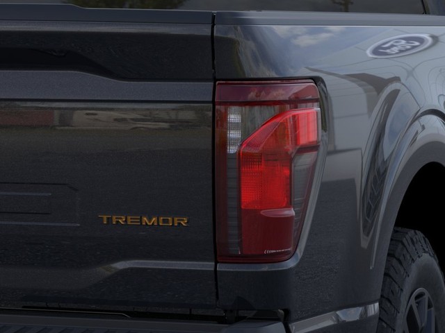 Ford F-150 Vehicle Image 21