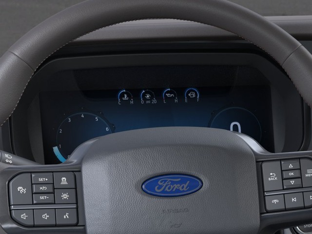 Ford F-150 Vehicle Image 13