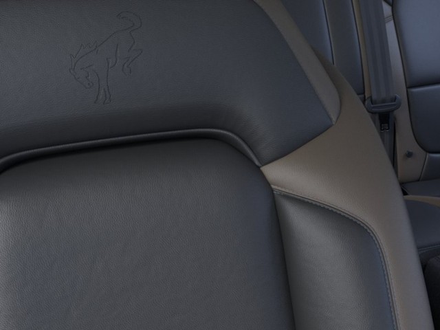 Ford Bronco Vehicle Image 18
