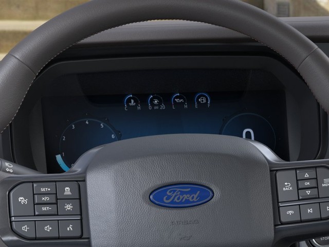 Ford F-150 Vehicle Image 13