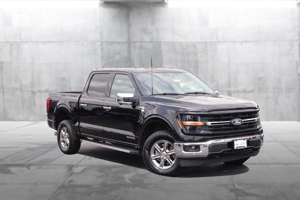 Ford F-150 Vehicle Image 02