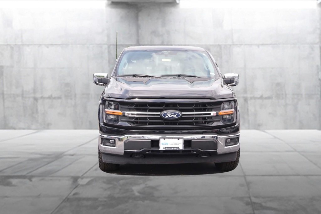 Ford F-150 Vehicle Image 04