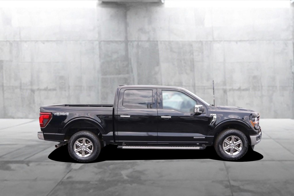 Ford F-150 Vehicle Image 05