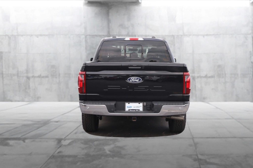 Ford F-150 Vehicle Image 06