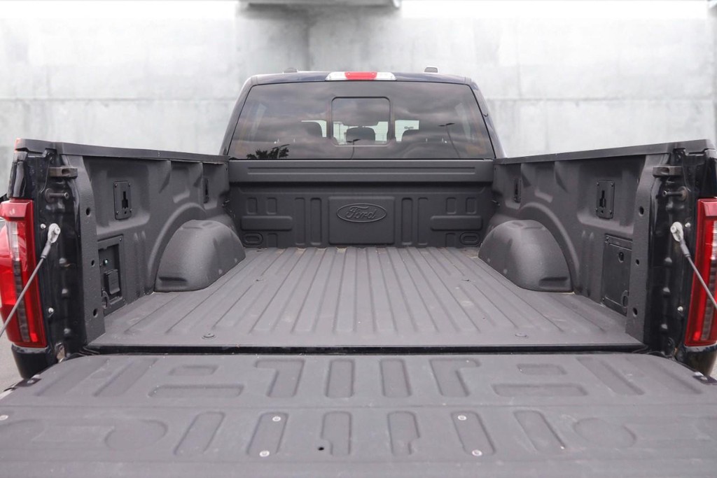 Ford F-150 Vehicle Image 07