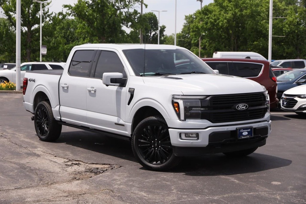 Ford F-150 Vehicle Image 02