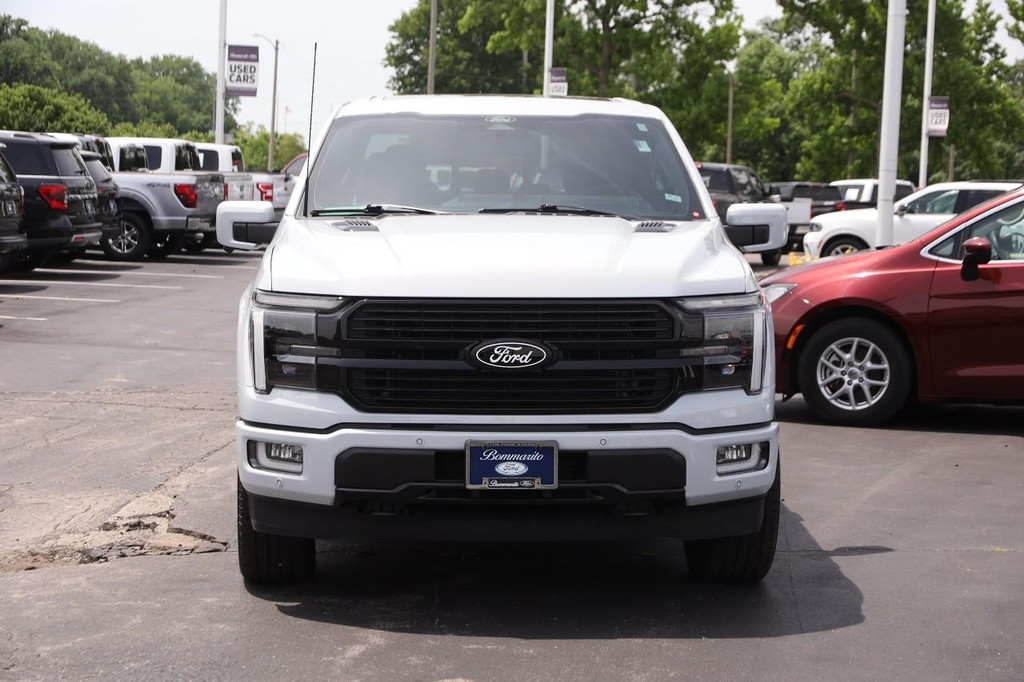 Ford F-150 Vehicle Image 04