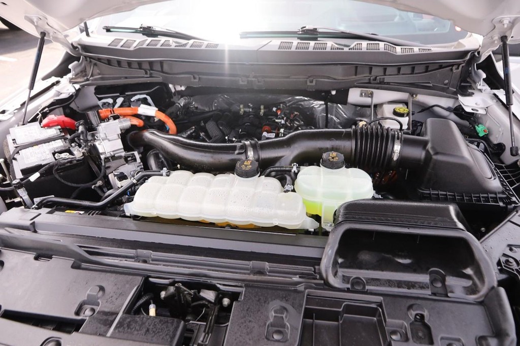Ford F-150 Vehicle Image 30