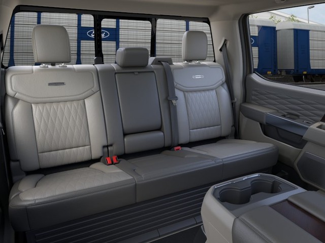 Ford Super Duty F-250 SRW Vehicle Image 11