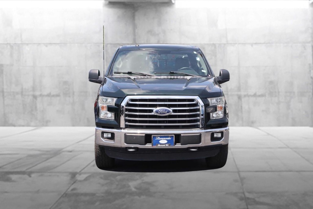 Ford F-150 Vehicle Image 04