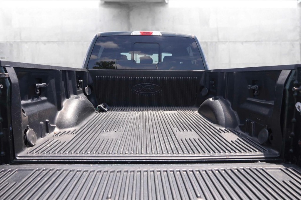 Ford F-150 Vehicle Image 07