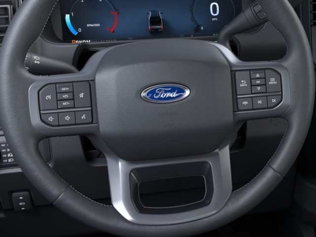Ford Super Duty F-250 SRW Vehicle Image 12