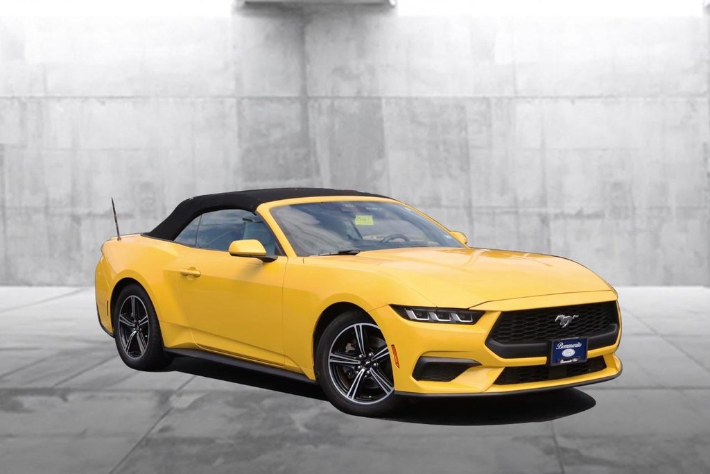 Ford Mustang Vehicle Full-screen Gallery Image 2