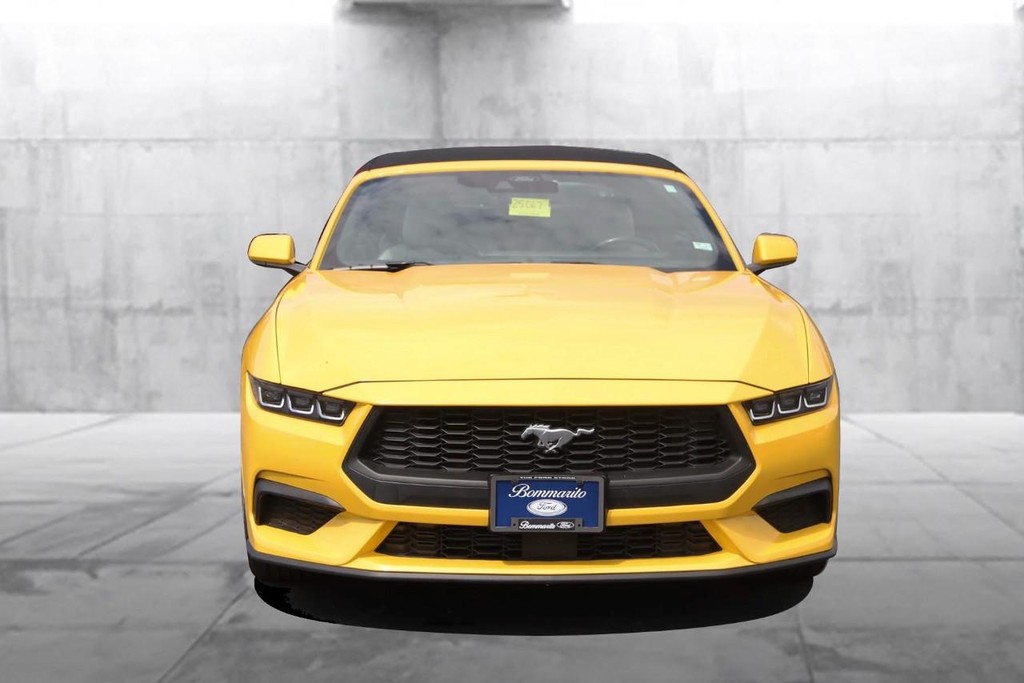 Ford Mustang Vehicle Full-screen Gallery Image 4