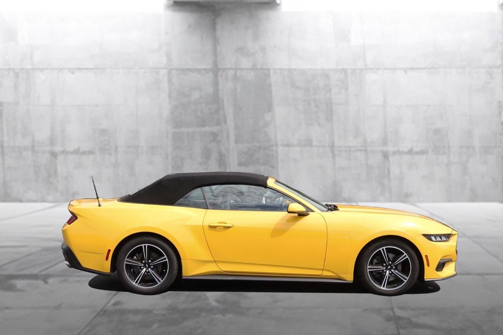 Ford Mustang Vehicle Full-screen Gallery Image 5