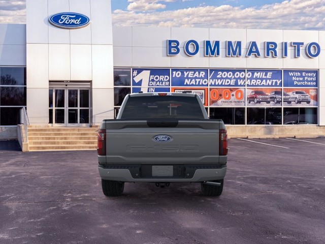 Ford F-150 Vehicle Image 05