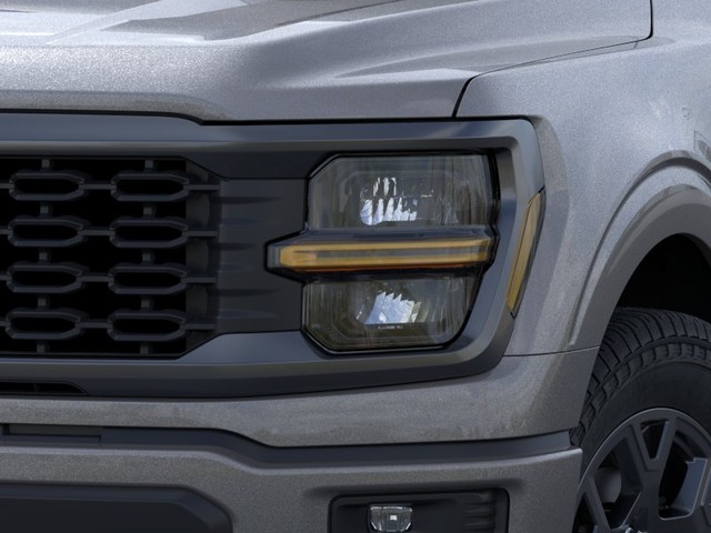Ford F-150 Vehicle Image 18