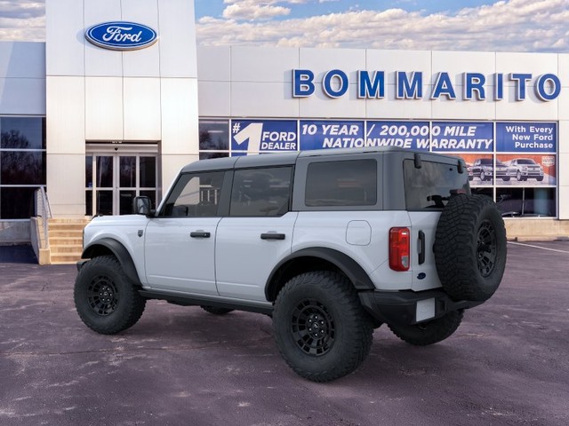 Ford Bronco Vehicle Full-screen Gallery Image 4