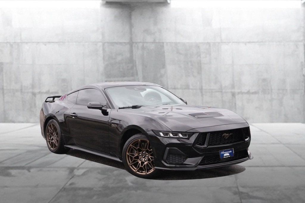 Ford Mustang Vehicle Full-screen Gallery Image 2