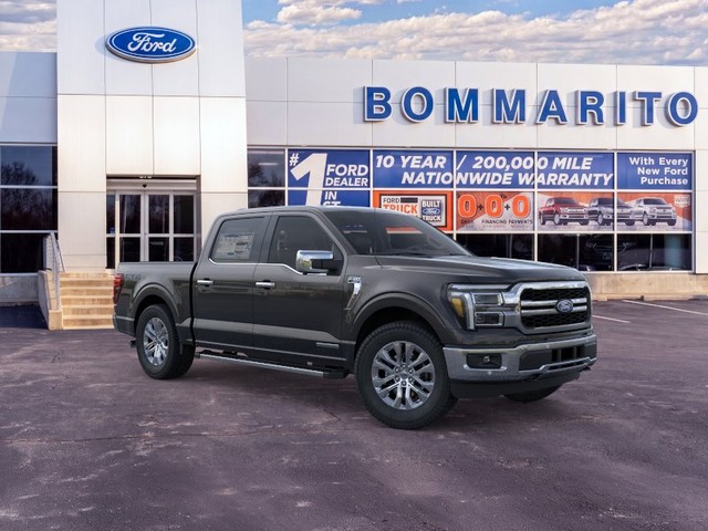 Ford F-150 Vehicle Image 07