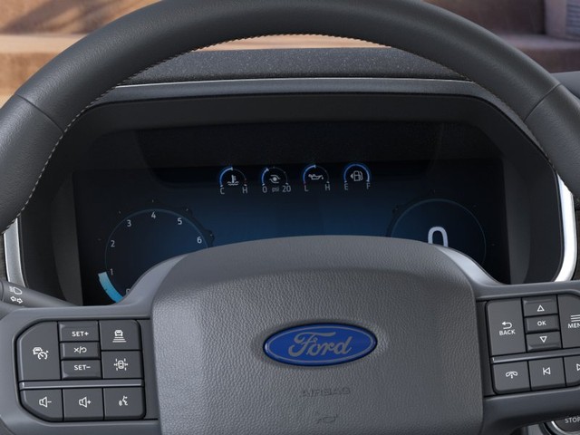 Ford F-150 Vehicle Image 13