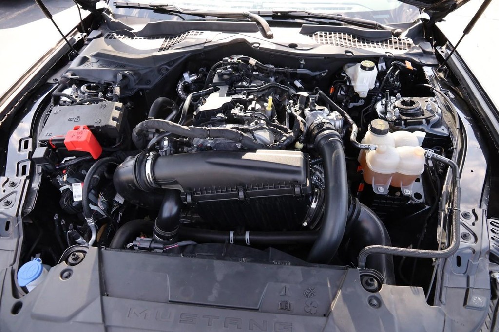 Ford Mustang Vehicle Image 22