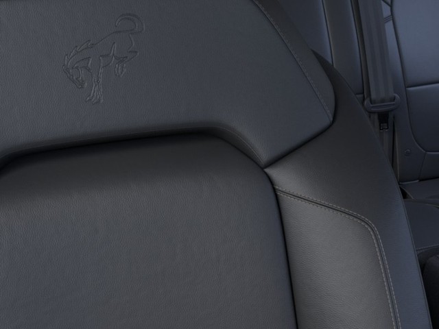 Ford Bronco Vehicle Image 18
