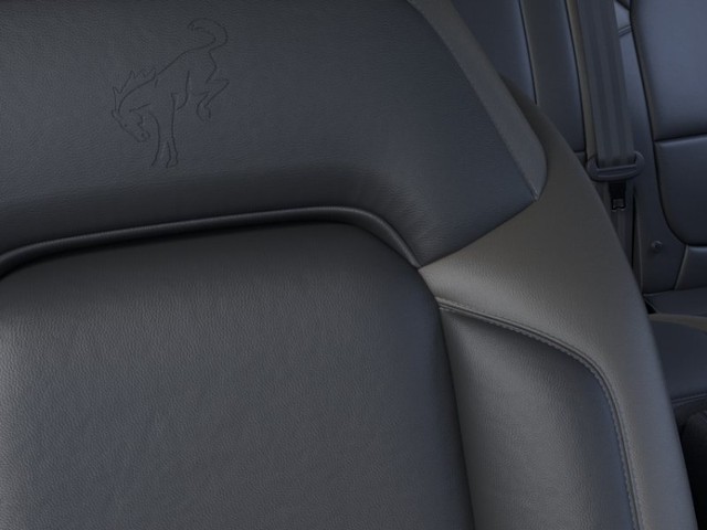 Ford Bronco Vehicle Image 18