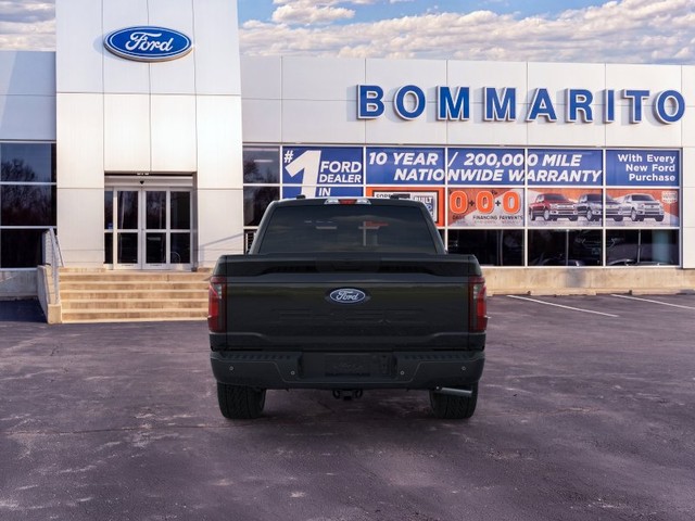 Ford F-150 Vehicle Image 05