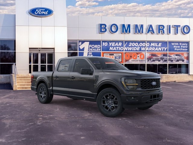 Ford F-150 Vehicle Image 07