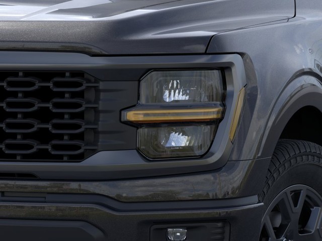 Ford F-150 Vehicle Image 18