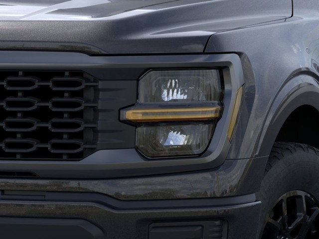 Ford F-150 Vehicle Image 18