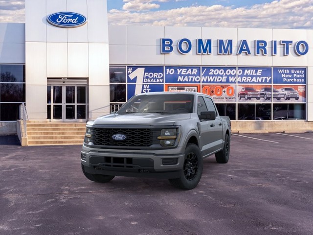Ford F-150 Vehicle Image 02