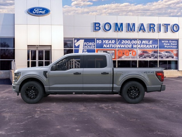 Ford F-150 Vehicle Image 03
