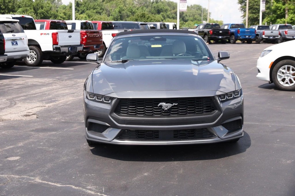 Ford Mustang Vehicle Full-screen Gallery Image 4