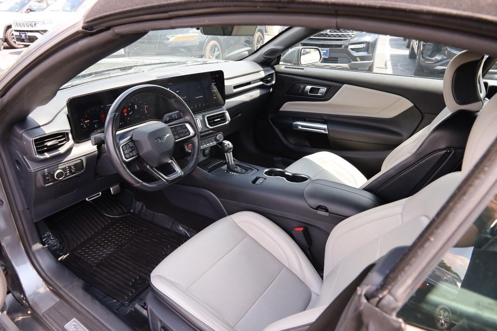 Ford Mustang Vehicle Full-screen Gallery Image 20